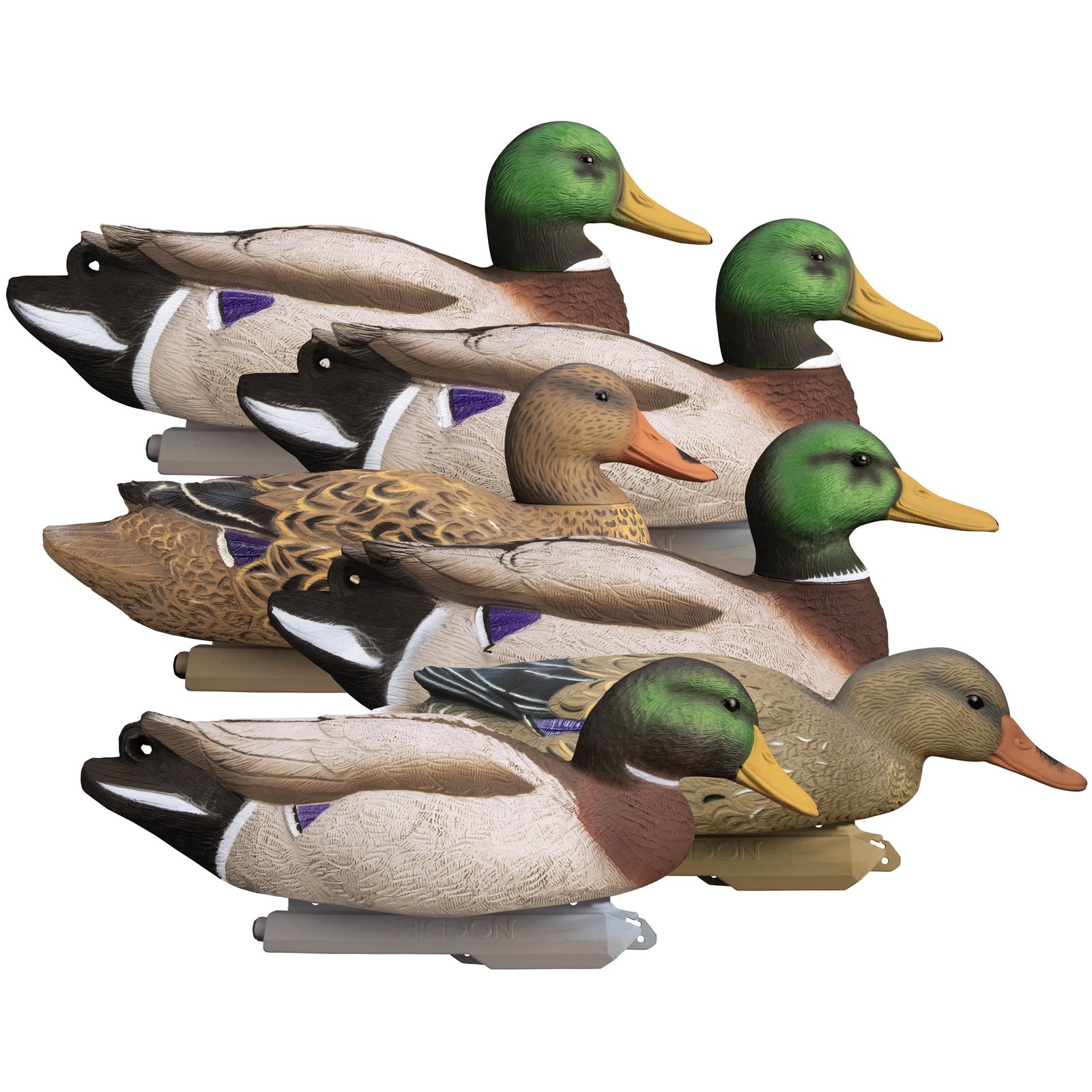 Battleship Mallard - Image 2