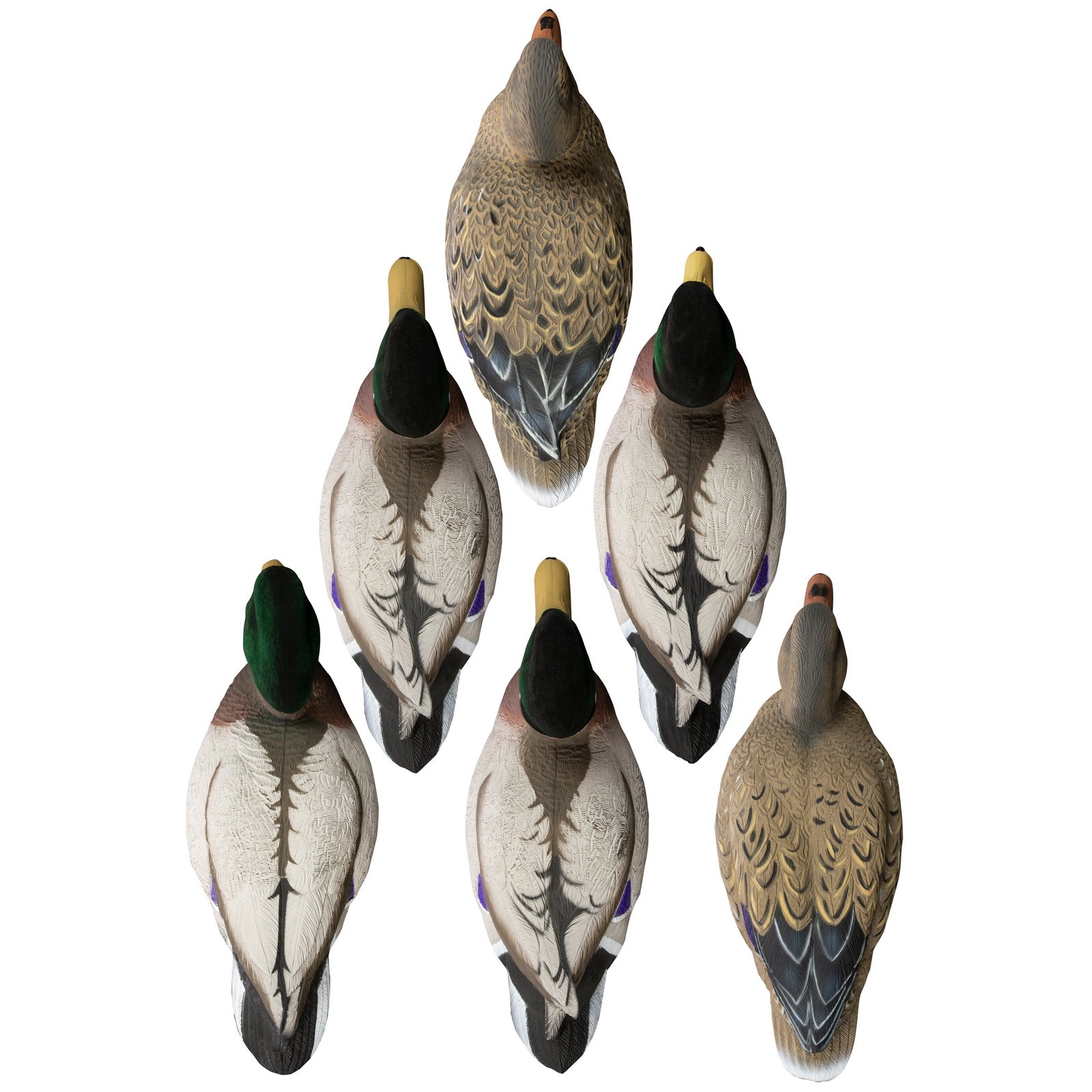 Battleship Mallard - Image 4