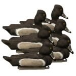 Battleship Ringneck-All Drakes