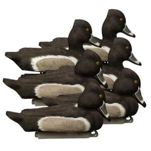 Battleship Ringneck-All Drakes