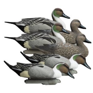 Battleship Pintail