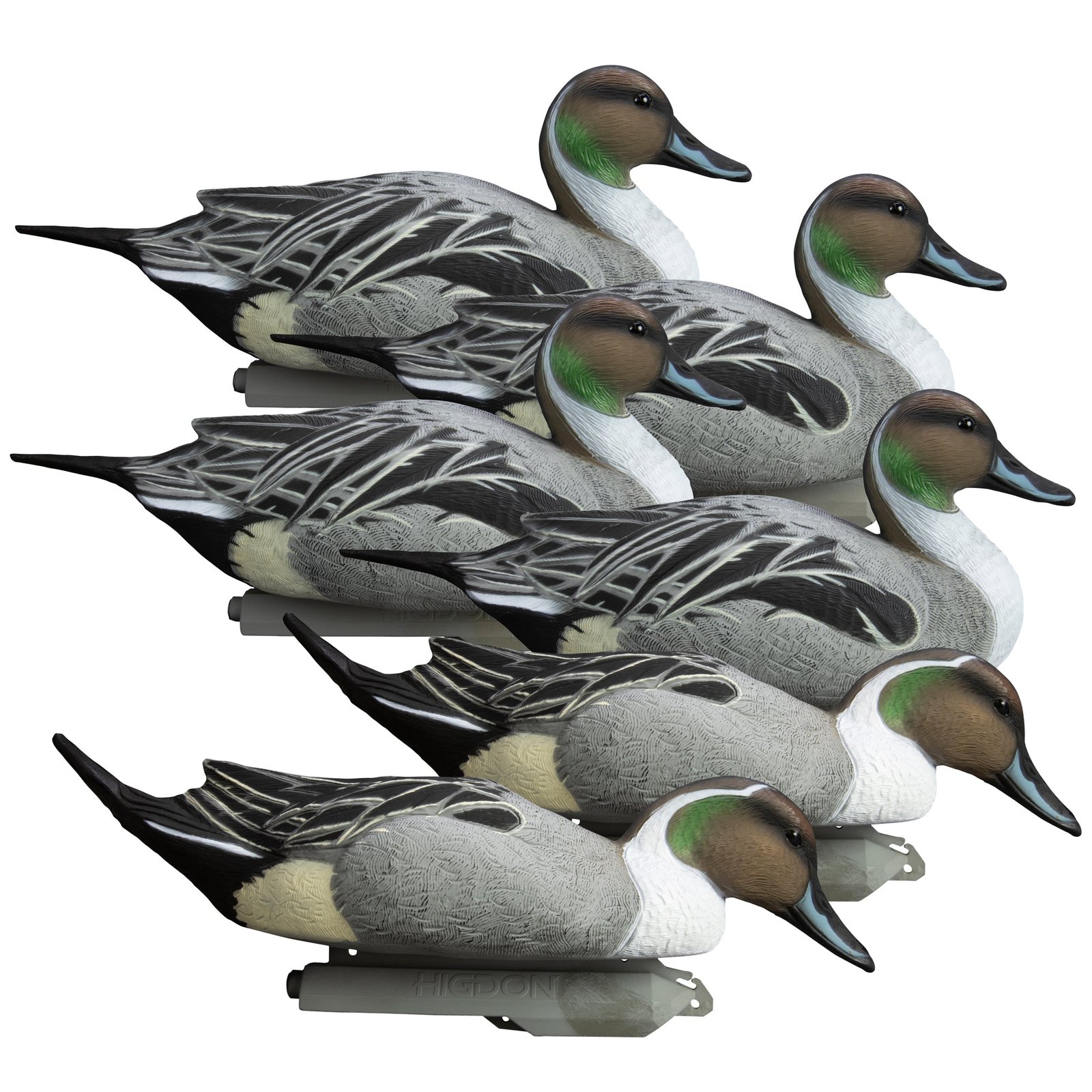 Battleship Pintail - Image 3