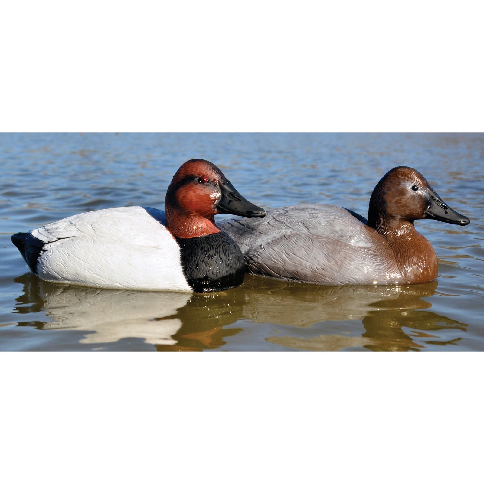 Battleship Canvasback - Image 3