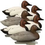 Battleship Canvasback