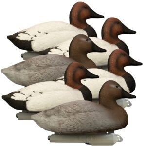 Battleship Canvasback