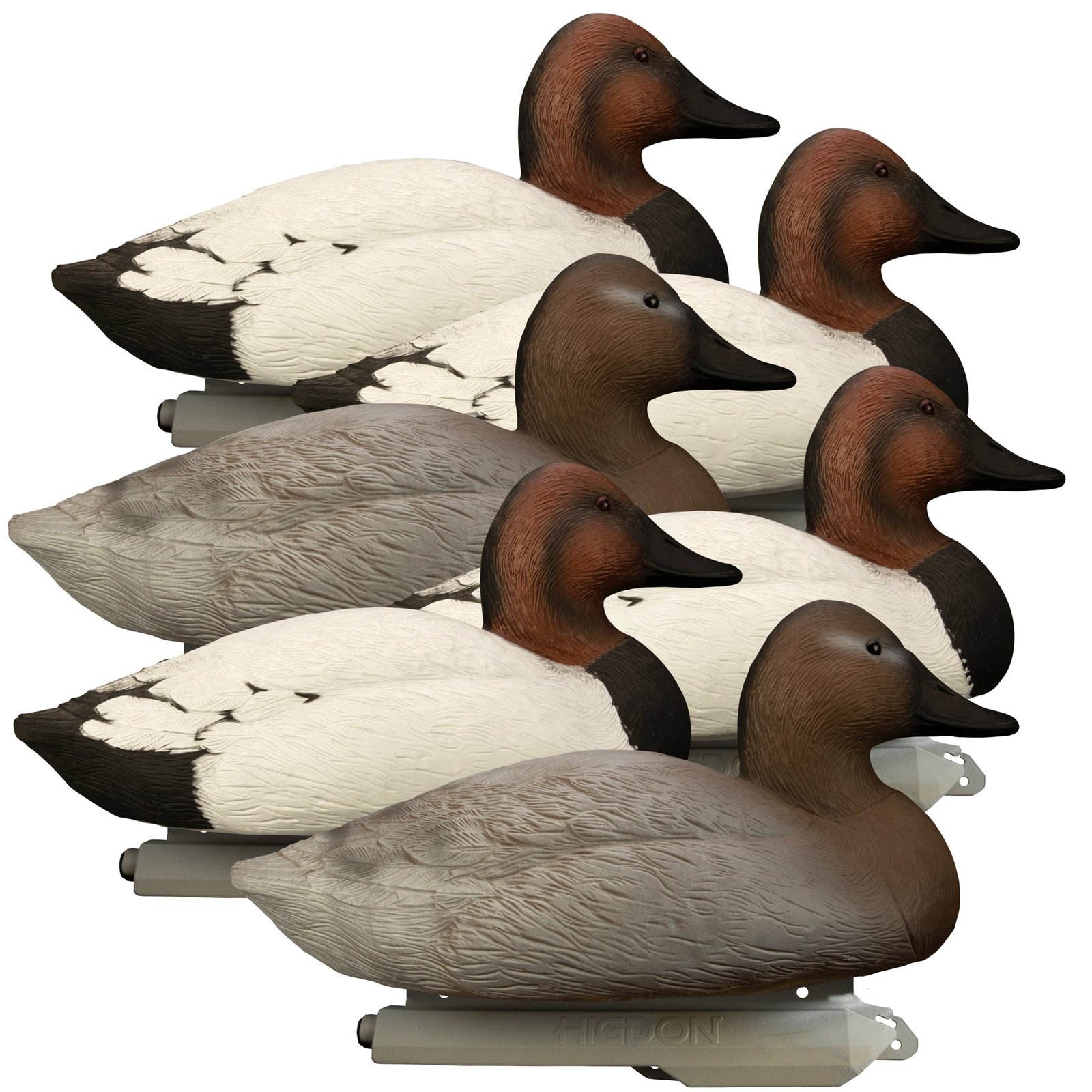 Battleship Canvasback