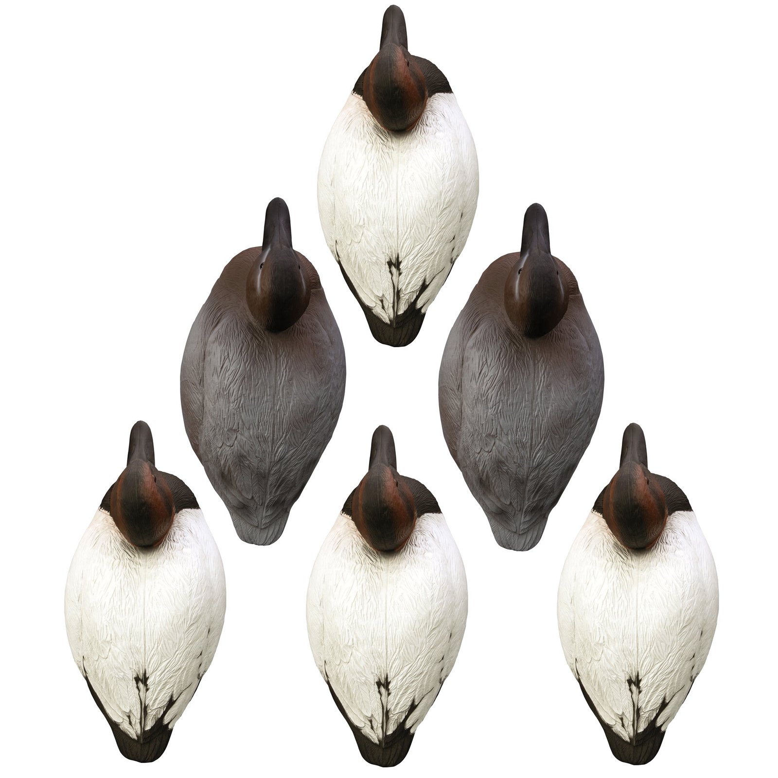 Battleship Canvasback - Image 2