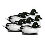 Battleship Goldeneye
