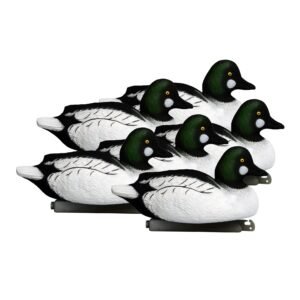 Battleship Goldeneye