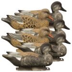 Battleship Gadwall