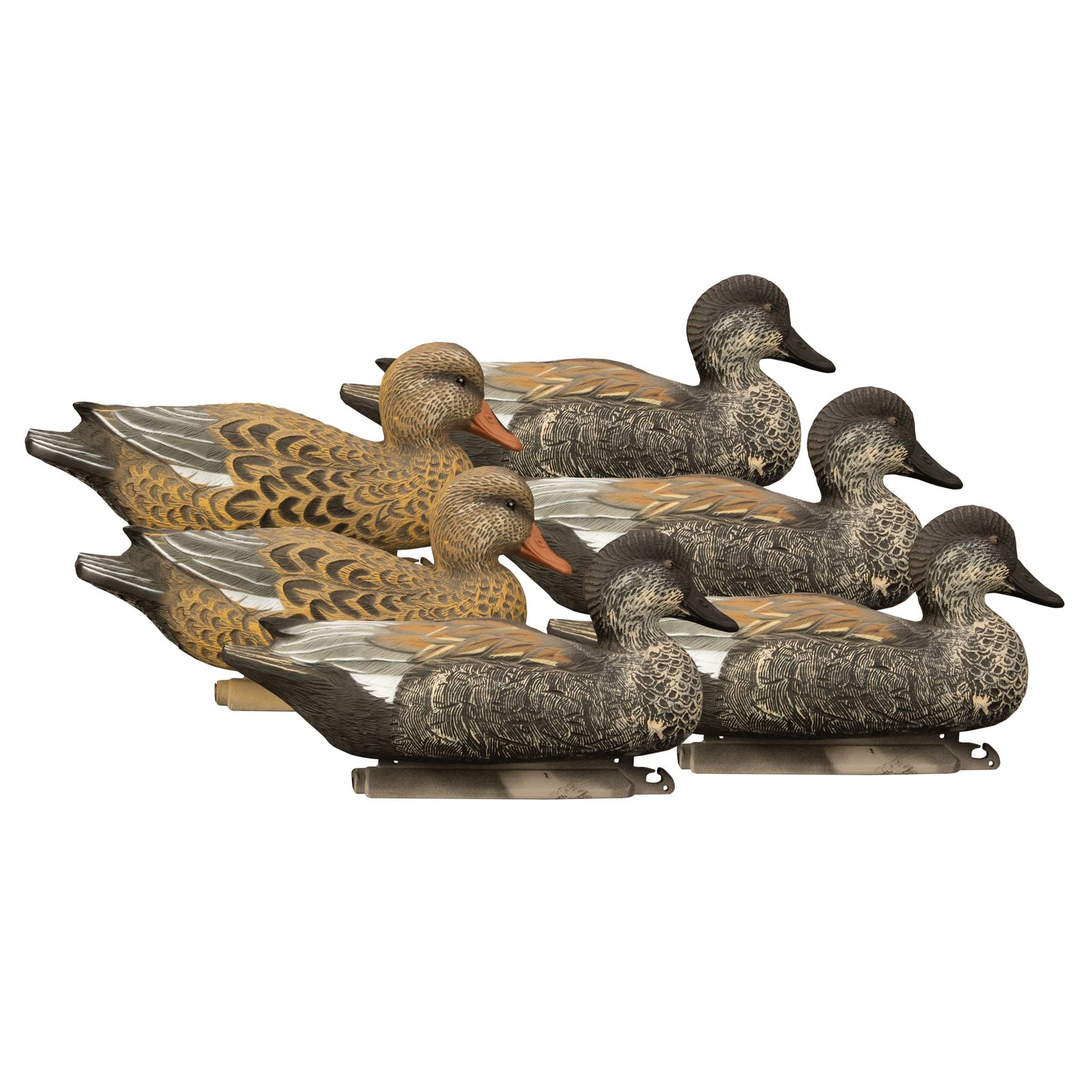 Battleship Gadwall - Image 2