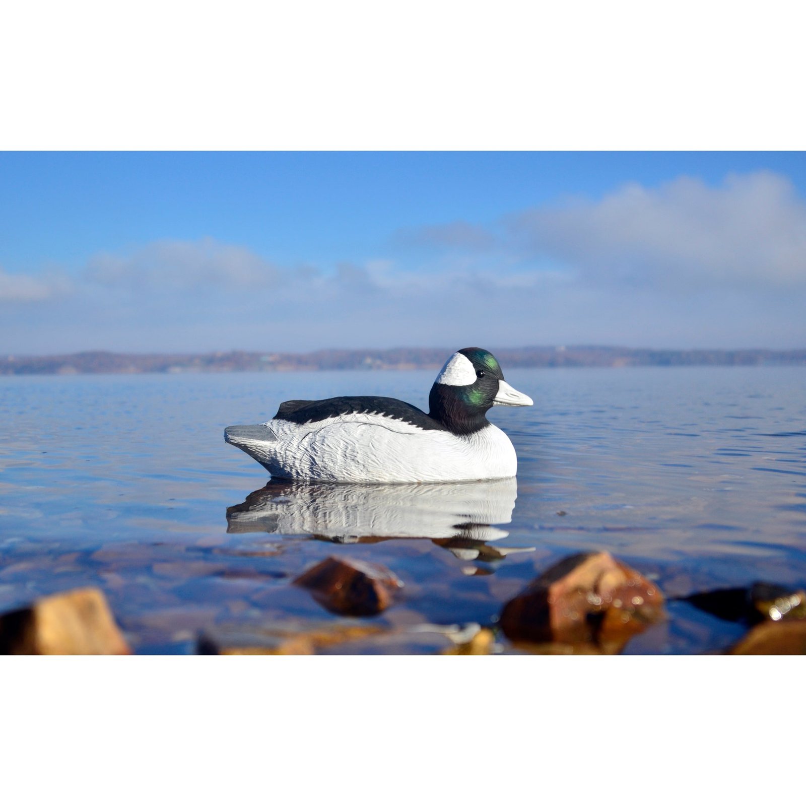 Battleship Bufflehead - Image 3
