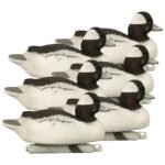 Battleship Bufflehead