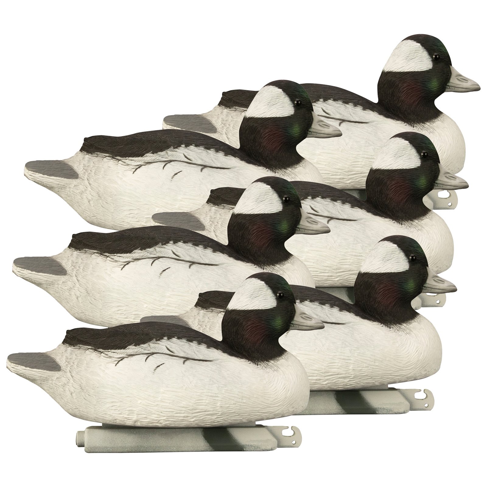 Battleship Bufflehead