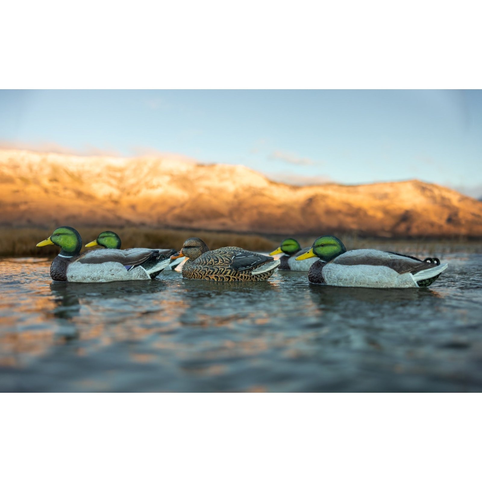 Legacy Mag Mallard - Image 3