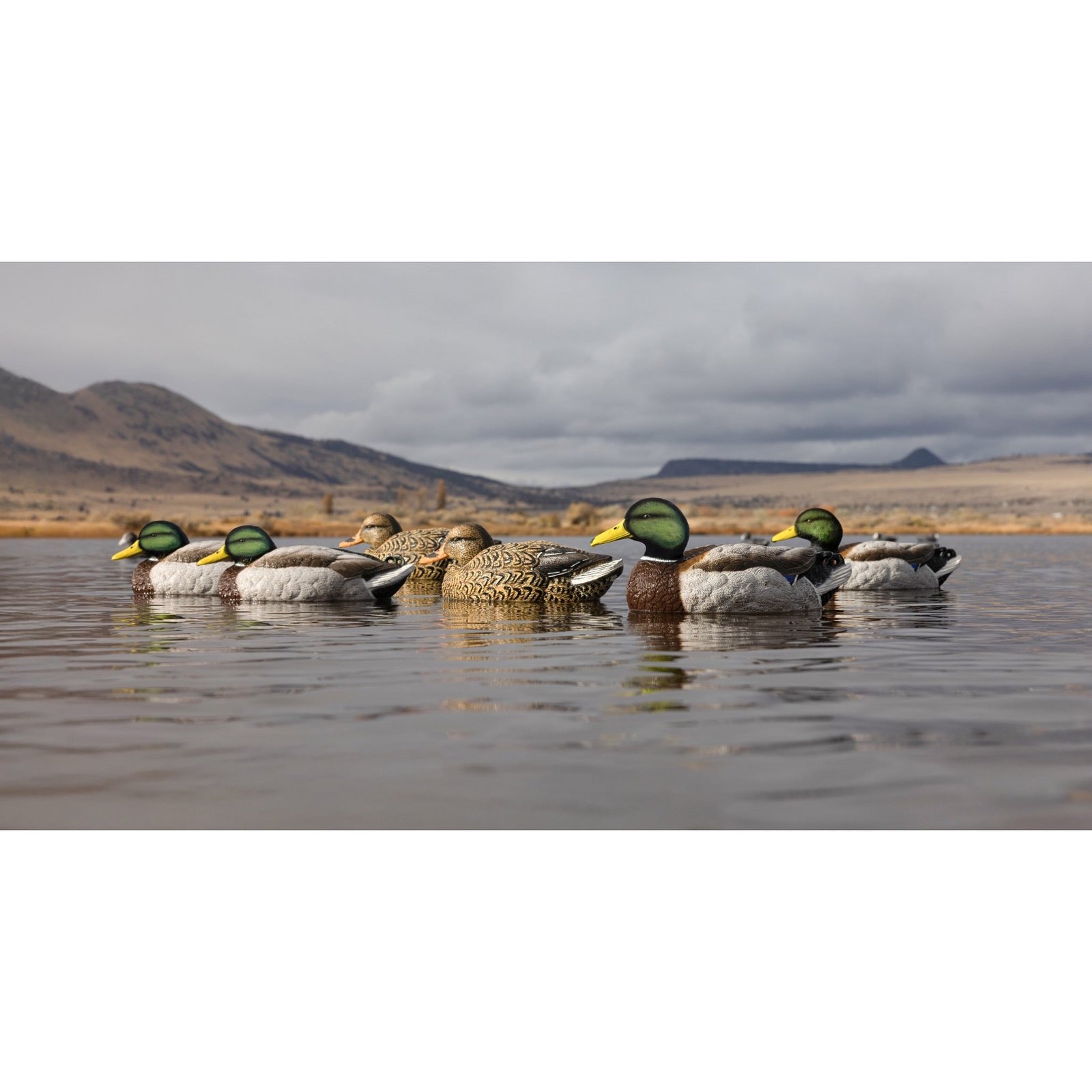 Legacy Mag Mallard - Image 4