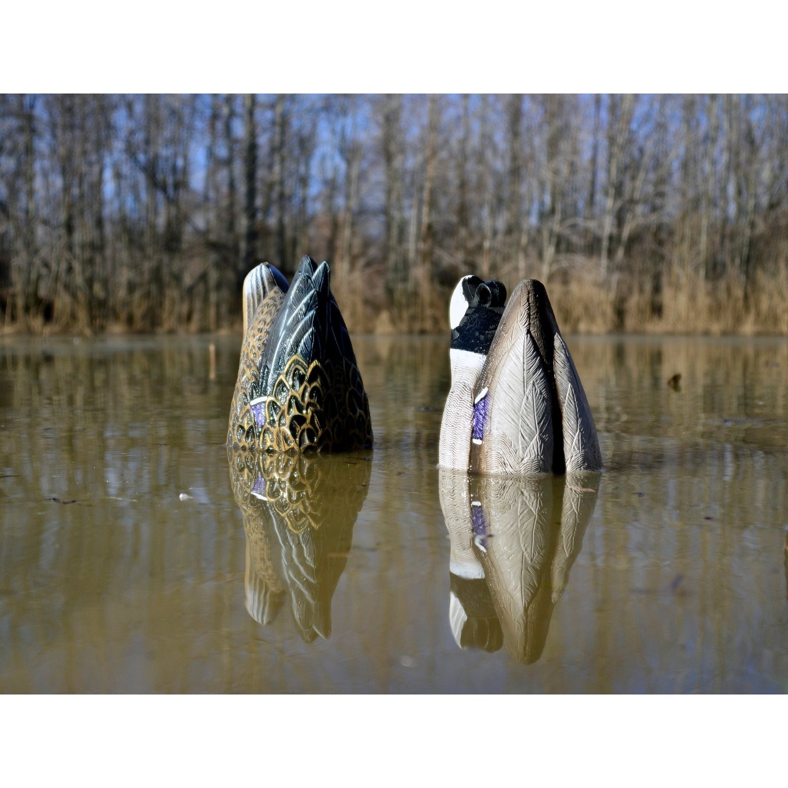 Magnum Mallard Feeder Pack - Image 2