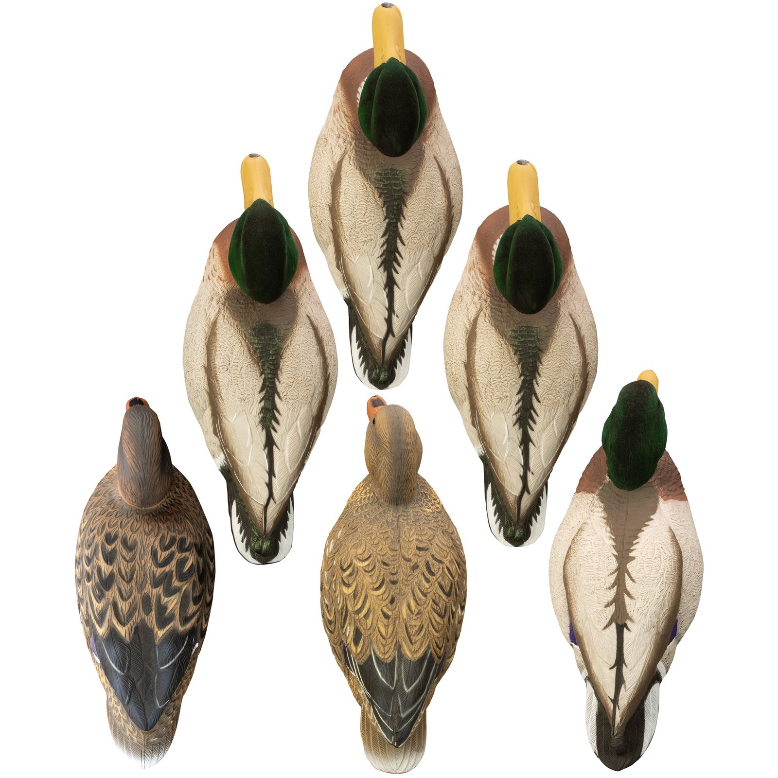 Magnum Mallard - Image 2
