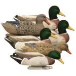Magnum Mallard