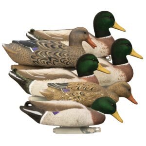 Magnum Mallard