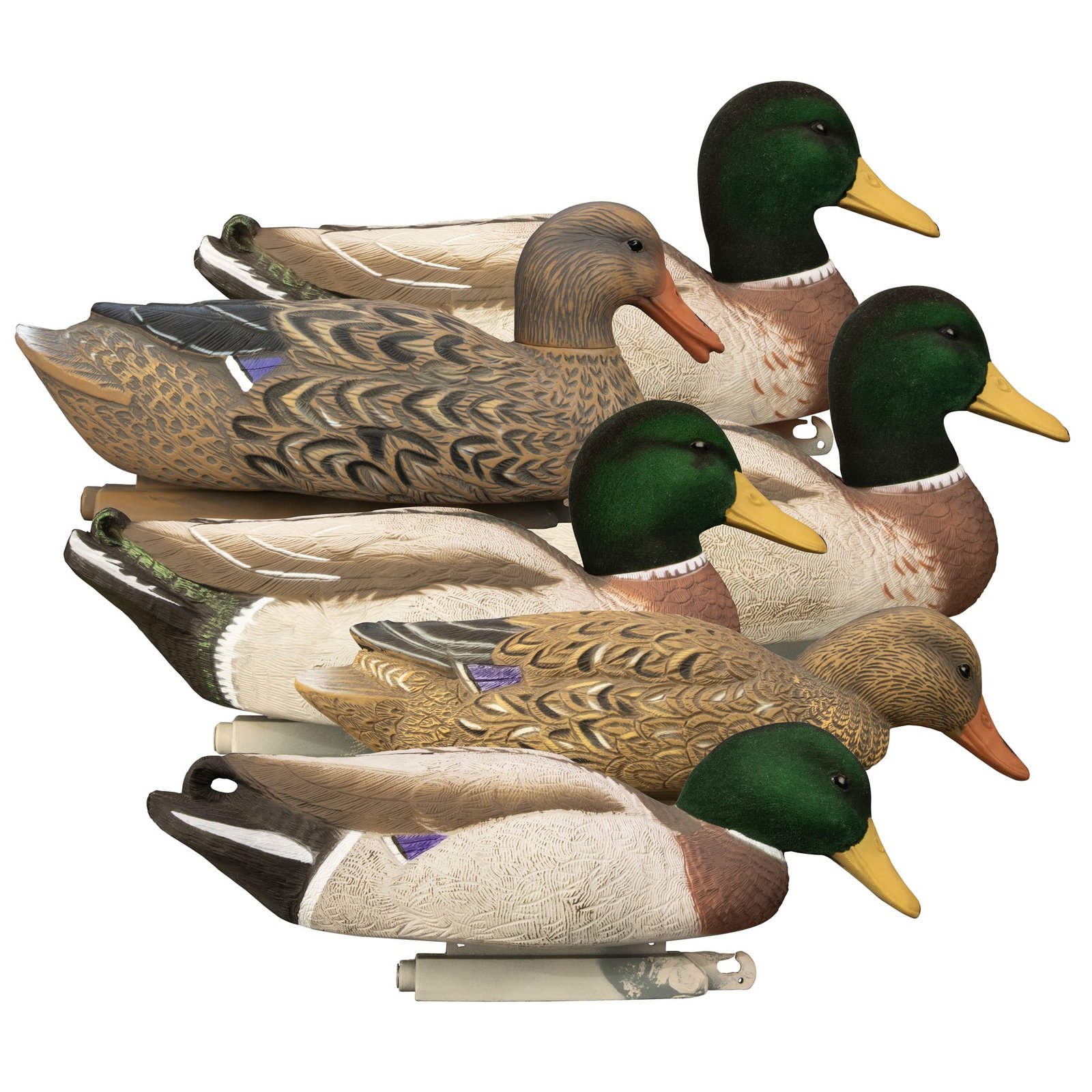 Magnum Mallard