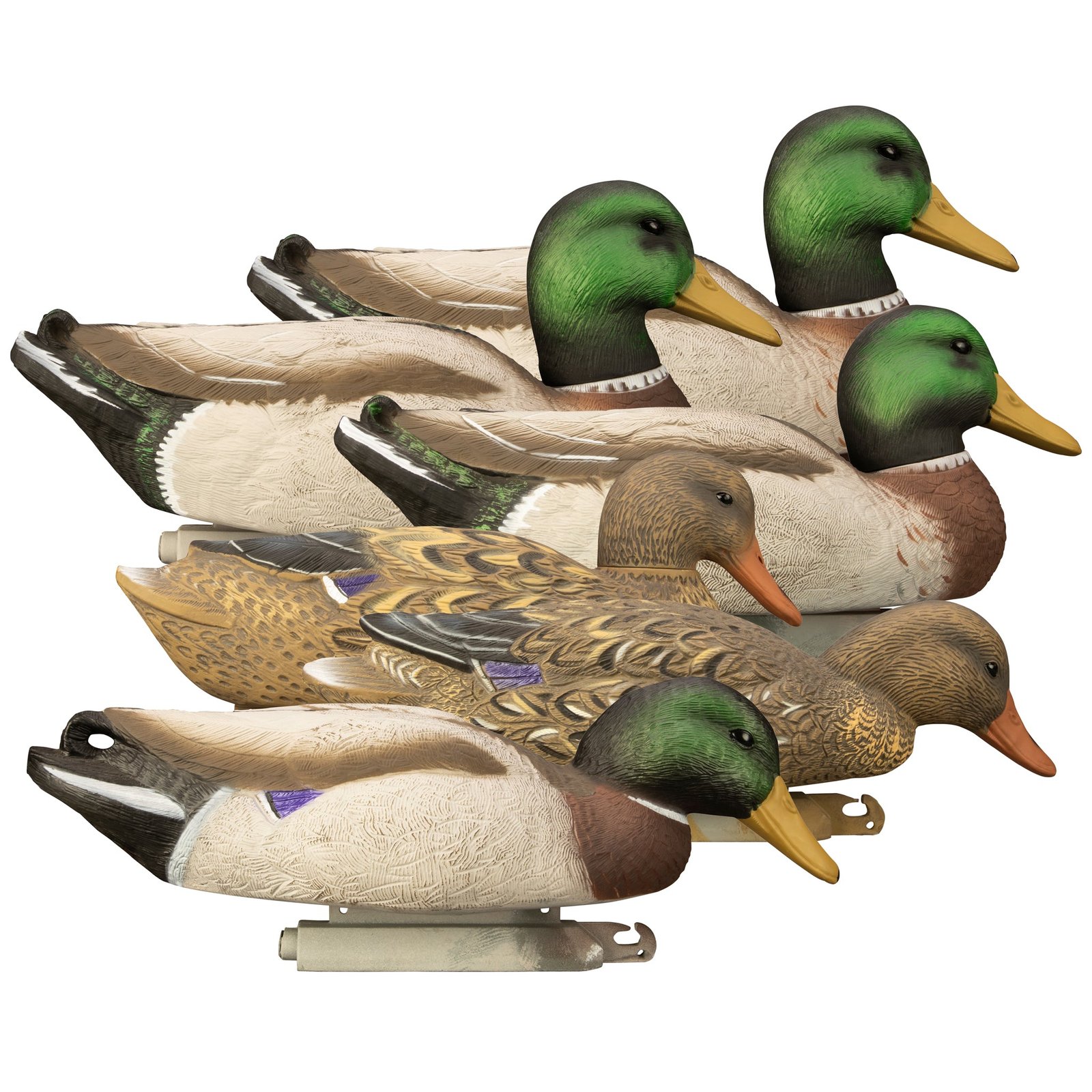 Magnum Mallard - Image 11