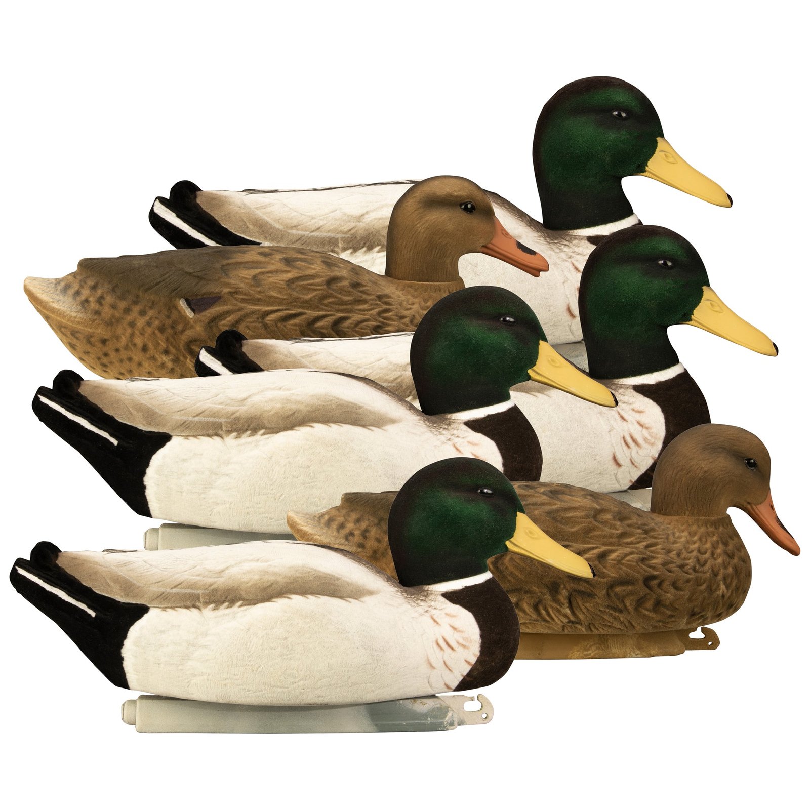 Magnum Mallard - Image 9