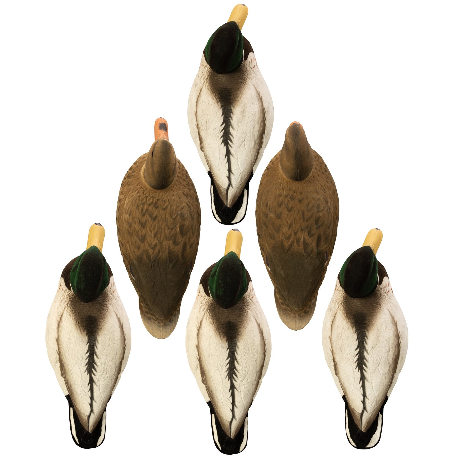 Magnum Mallard - Image 10