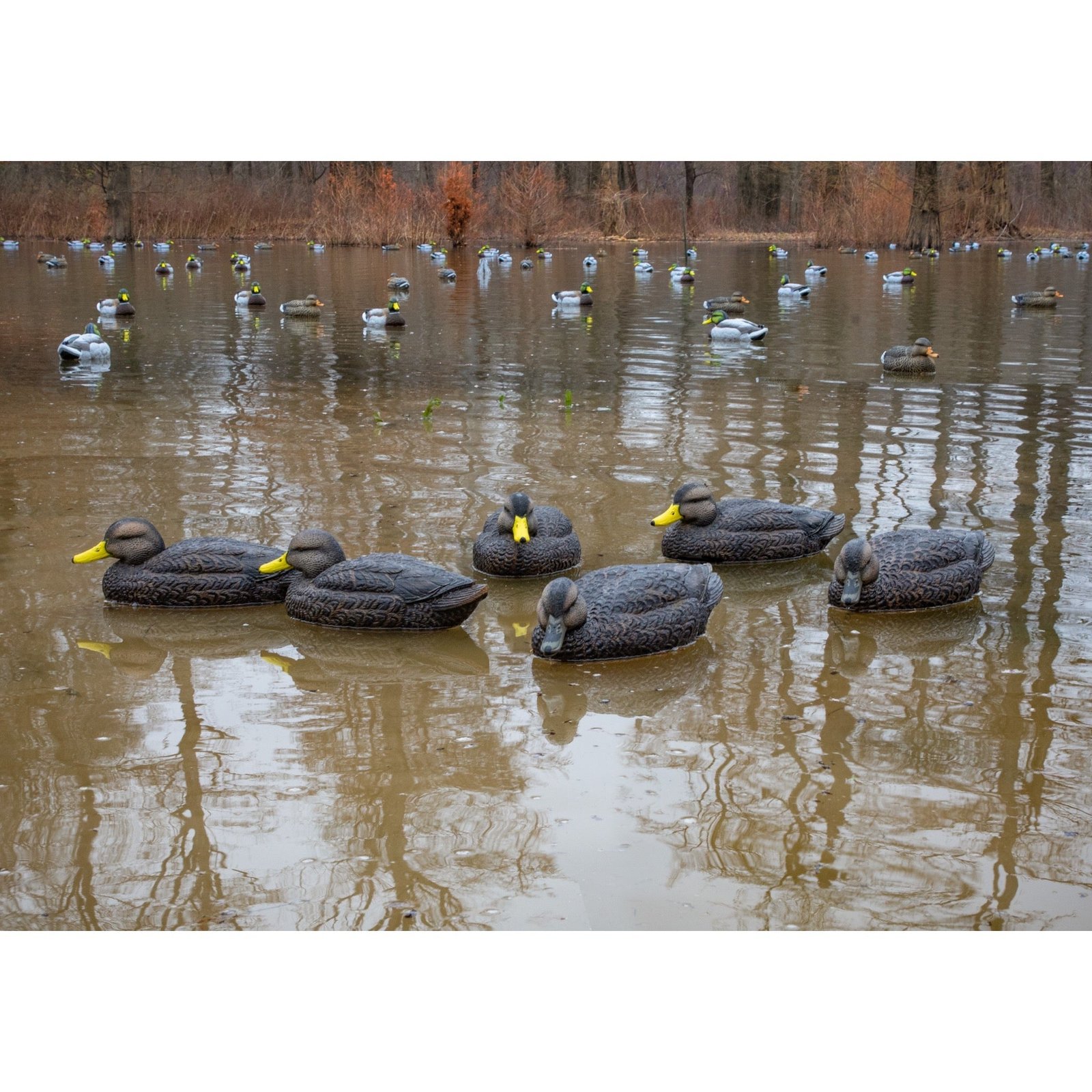 Legacy Mag Black Duck - Image 7