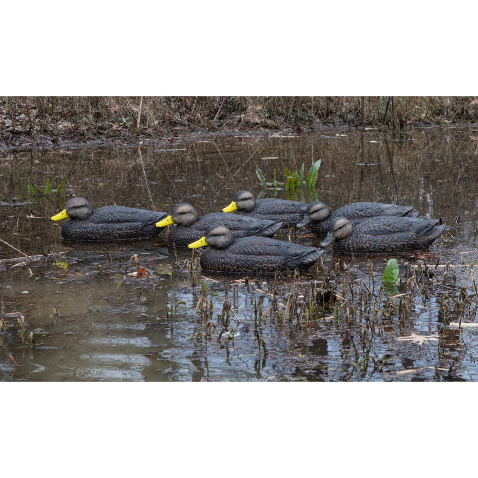 Legacy Mag Black Duck - Image 6