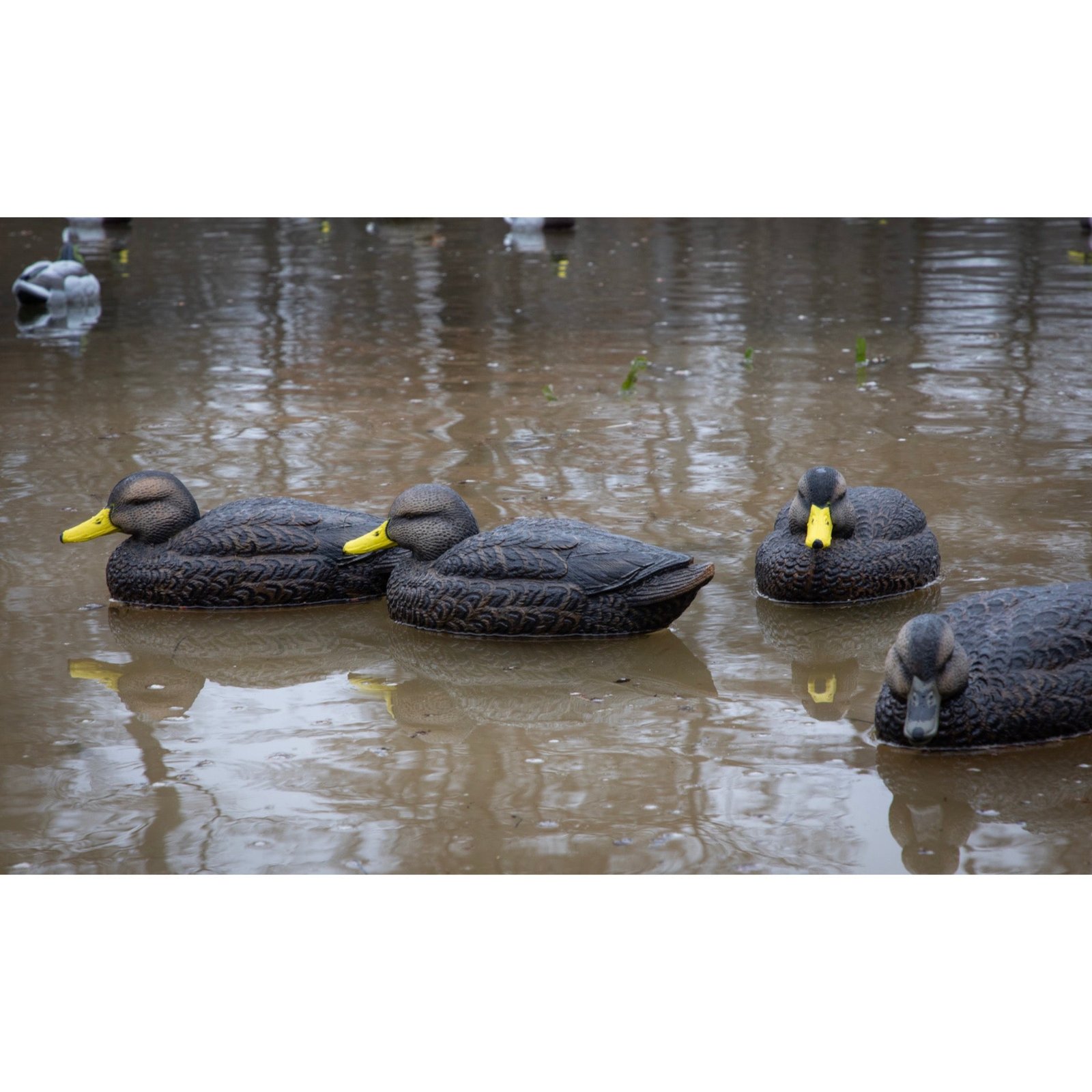 Legacy Mag Black Duck - Image 5