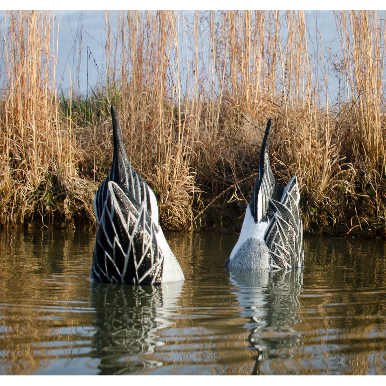 Magnum Duck Butt Pintail - Image 3
