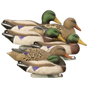 Full-Size Mallard
