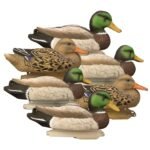 Standard Mallard 6pk