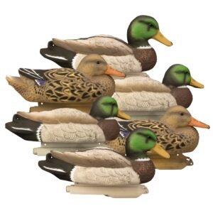 Standard Mallard 6pk