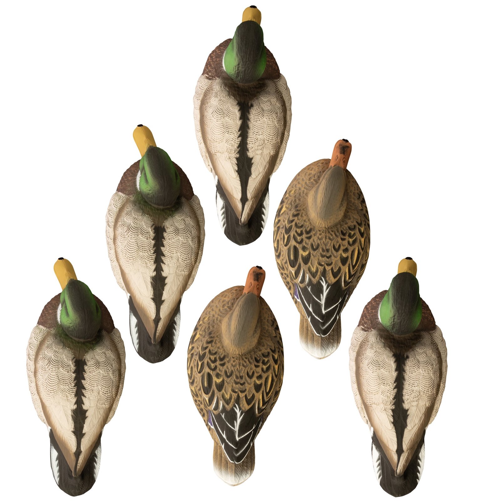 Standard Mallard 6pk - Image 2