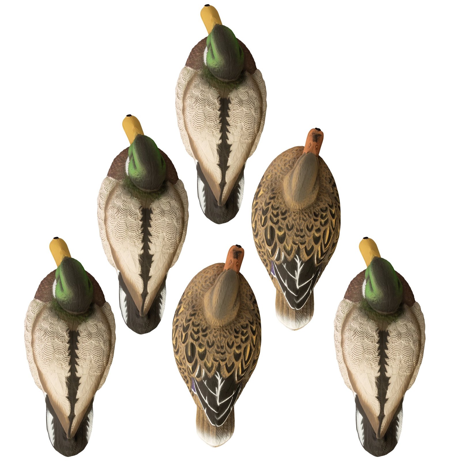 Standard Mallard Filler Pack - Image 2