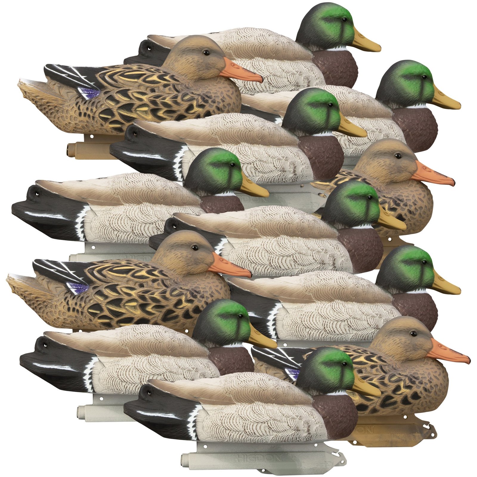 Standard Mallard Filler Pack - Image 4
