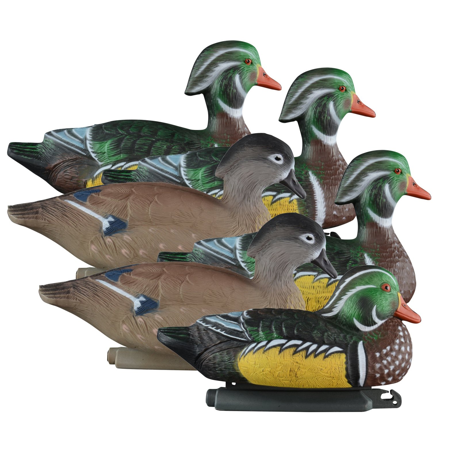 Standard Wood Duck