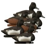 Standard Ringneck 6pk