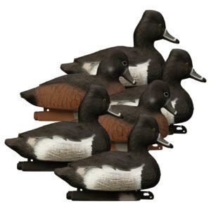 Standard Ringneck 6pk