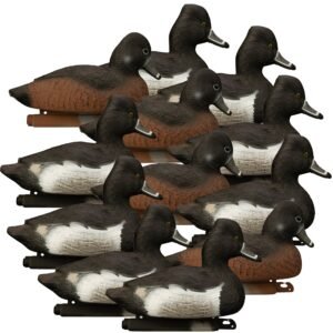 Standard Ringneck 12pk
