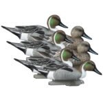 Standard Pintail 6pk