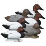 Standard Canvasback 6pk