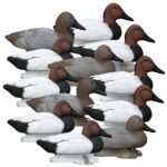 Standard Canvasback 12pk