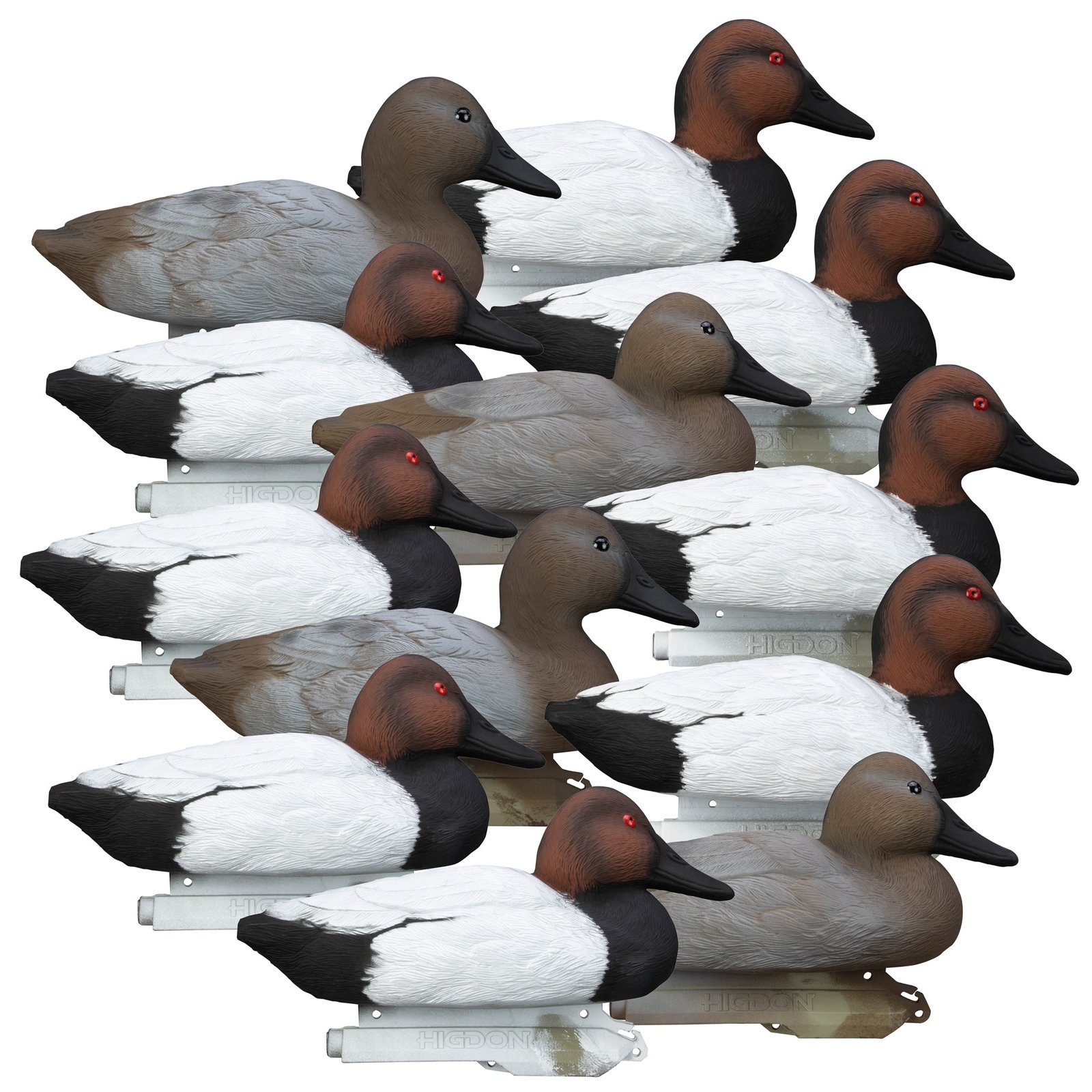 Standard Canvasback 12pk