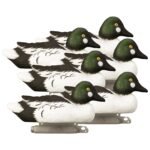 Standard Goldeneye