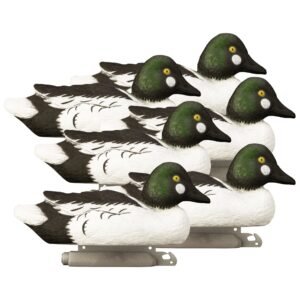 Standard Goldeneye