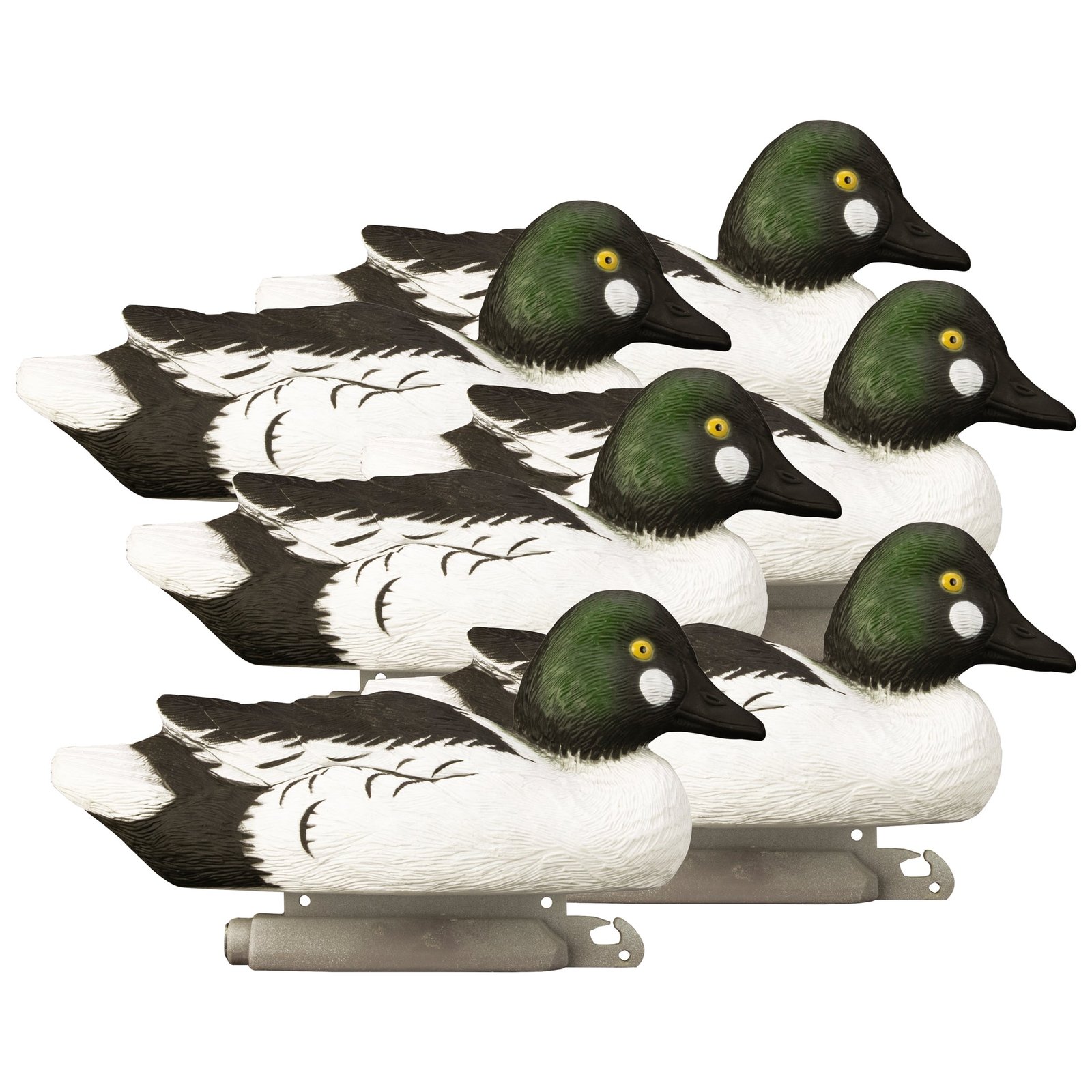 Standard Goldeneye