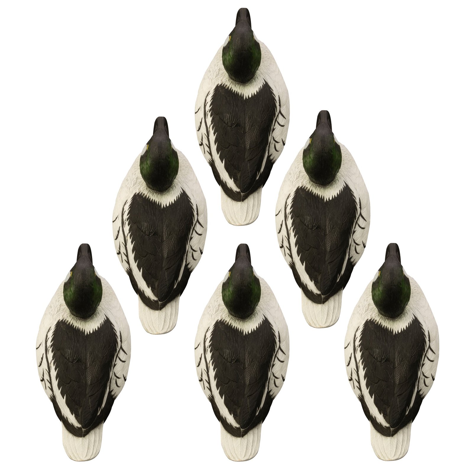 Standard Goldeneye - Image 2